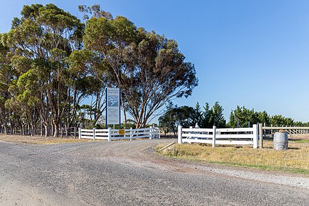 Wildwood Vineyards