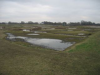 WWT London Centre