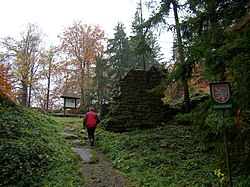 Štamberk - zřícenina hradu