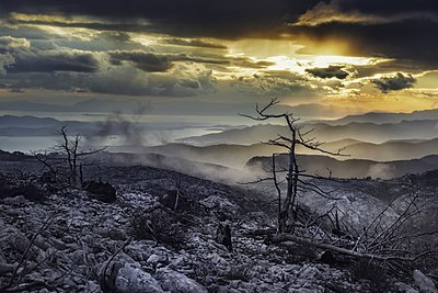 Hutan yang terbakar di Gunung Parnitha, Attika, Yunani