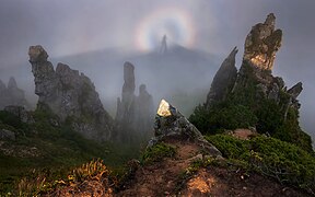 Brocken spectre with glory on Mount Shpyci in the Carpathians, Ukraine