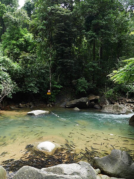 File:อุทยานแห่งชาติน้ำตกพลิ้ว จ.จันทบุรี (6).jpg