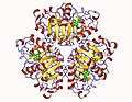 Thumbnail for Nucleoside deoxyribosyltransferase