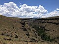 2013-06-28 14 15 57 View south up the East Fork Jarbidge River Canyon near Murphy's Hot Springs in Idaho.jpg