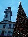 Town hall and Christmass tree in Cieszyn (2015)