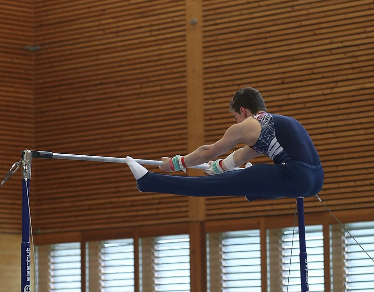 File:2019-04-13 Rheintalcup P6 Junior Switzerland competition horizontal bar (Martin Rulsch) 159.jpg