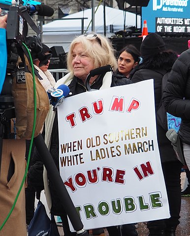 Trump protestor