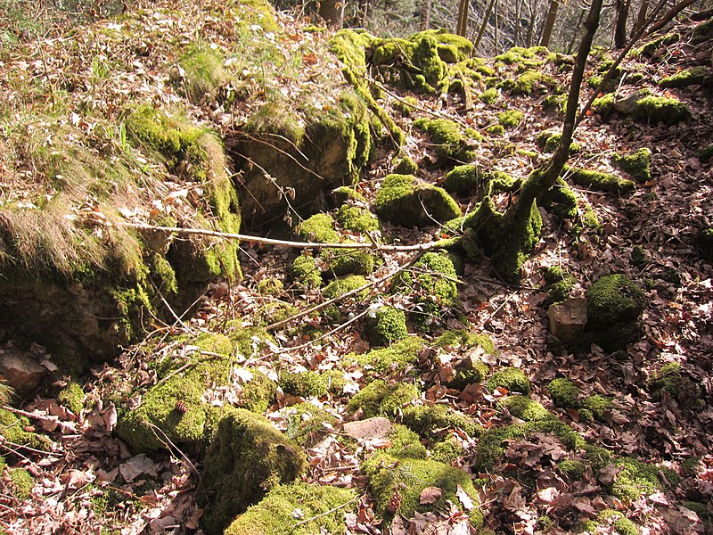 File:24 Waldstein Castle.JPG