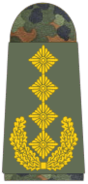 General of the Bundeswehr, Germany