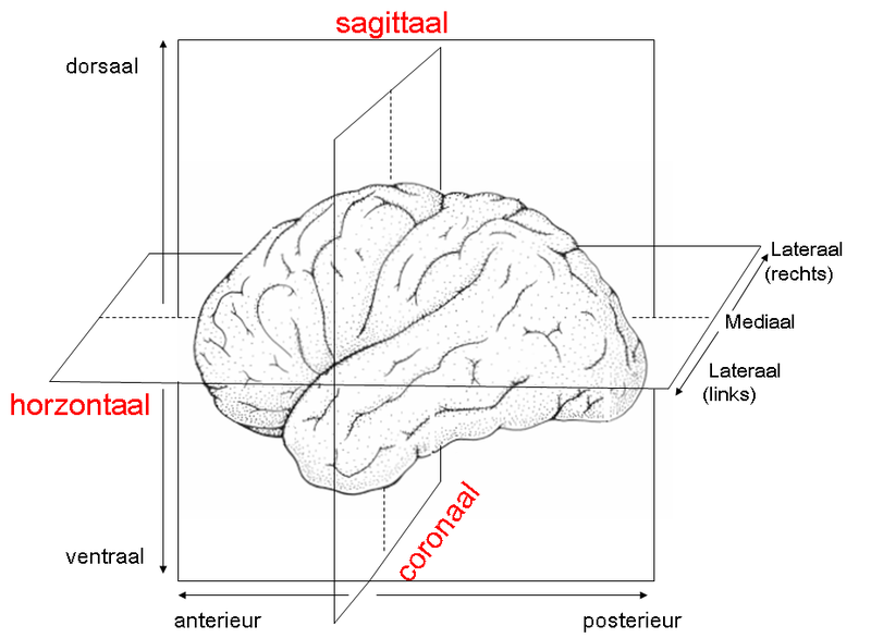 File:3 dimensies.PNG