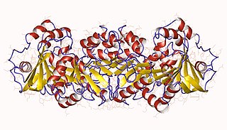 <span class="mw-page-title-main">Homoaconitate hydratase</span> Enzyme