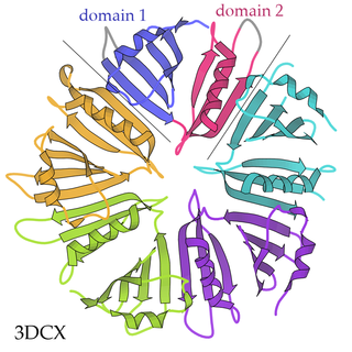 <span class="mw-page-title-main">Pentameric protein</span>