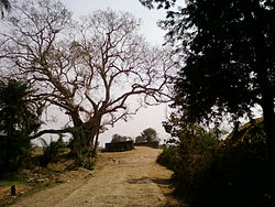 Pemandangan kanal bay.jpg