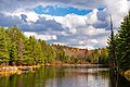 A small lake in Algonquin Provincial Park
