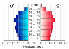 Bevolkingspiramide van de gemeente Waalwijk