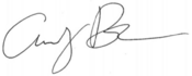 Andy Beshear signature.png