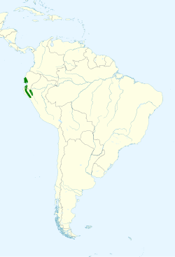 Distribución mundial