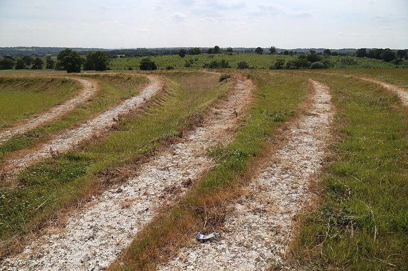 File:Art earthwork landscape sculpture Woodland Trust Theydon Bois Essex 01.JPG