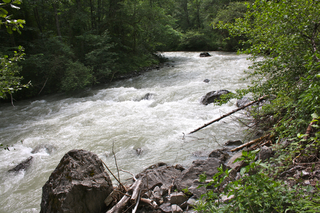 <span class="mw-page-title-main">Pitze</span> River in Tyrol, Austria