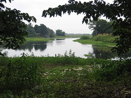 Majuli wetland