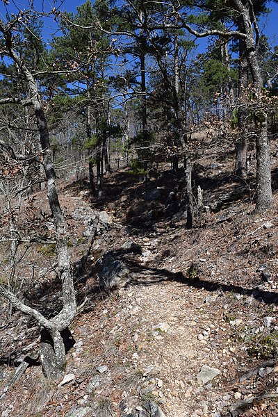 File:Athens-Big Fork Trail 2.jpg