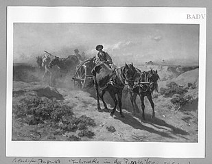 2 wheeled carriages in Hungarian plain