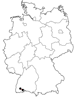 Course of the B 315