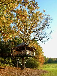 Strutted treehouse utilizing tree attachment bolts in a public park in Burlington, Vermont BTV ForeverYoungTreehouse 20081015.jpg
