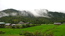 Ba'kelalan paddy rice field.JPG