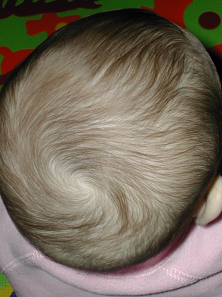 Thin brown hair of a one-year-old infant girl