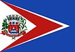 Vlag van Campina do Monte Alegre