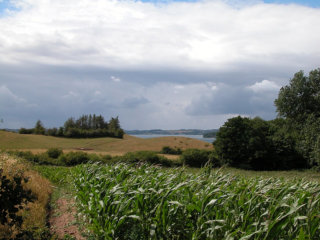 Barsø