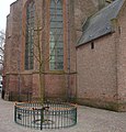 Beatrixboom, Noordwijk, geplant ter ere van de 50e verjaardag van Beatrix in 1988.