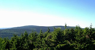 Thuringian Forest Nature Park nature park in Thuringia, Germany