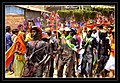 Bhil tribes dancing in the festival 05