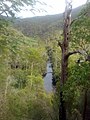 A view of Big River, along Big River Rd, in northeastern Victoria, Australia.