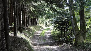 <span class="mw-page-title-main">Birkenhainer Straße</span> Long-distance hiking trail in Germany