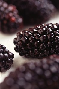 Blackberries were sometimes used to make purple dye in the Middle Ages.