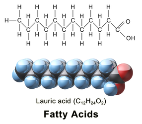 Lauric acid, a fatty acid.