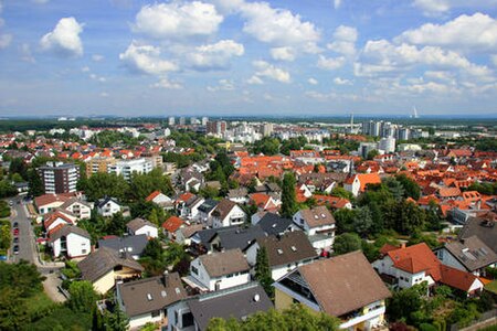 Blick vom Wingertsberg neu