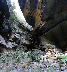 Neates Glen, outside Blackheath