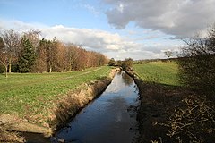 It is a bright February day, with some blue sky between rolling white clouds. A decent-sized stream, well filled with fast-moving water runs toward us down the middle of the picture. On eather side are wide, flat grassy banks. On the left is a footpath, and further left a stand of bare-branched silver birch, with a single evergreen spruce at our end of the plantation. On the right, in the immediate foreground, is a bare blackthorn bush. Behind that the right bank extends away as a field planted with winter wheat. The original photographer wrote:'Bottesford Beck. Looking east along Bottesford Beck, years ago it was heavily polluted with outflow from Scunthorpe steelworks, today it flows to the Trent much clearer.'