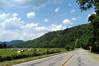 Newton County, Arkansas U.S. county in Arkansas