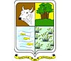 Official seal of Santana do Araguaia