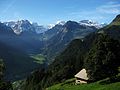 Braunwald Alps.jpg