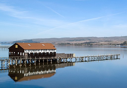 Brock Schreiber Boathouse on Tomales Bay
