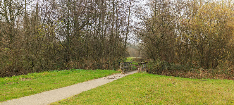 File:Bruggetje in fietspad Langweerderwielen (Langwarder Wielen) richting Joure 03.jpg