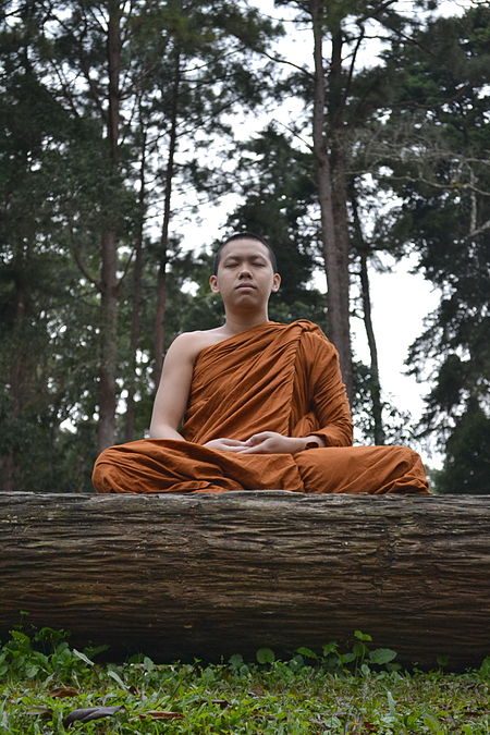 ไฟล์:Buddhist_monk_meditation.jpg