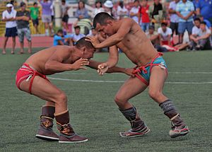 (#3) Buryat national wrestling Buhe Barildan.