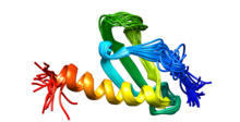 Visualization of crystallized protein CXCL14.